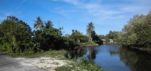 pemandangan disalah satu sudut kota sarmi