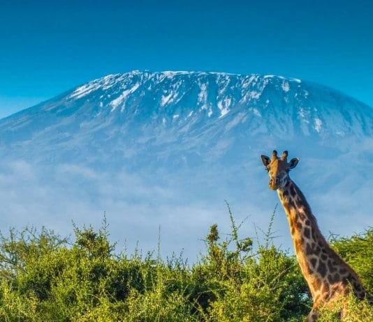 Sejarah dan Penamaan Gunung Kilimanjaro