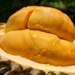 Potensi Durian Indonesia di Pasar Dunia