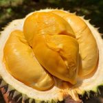 Durian dengan Sensasi Kebas